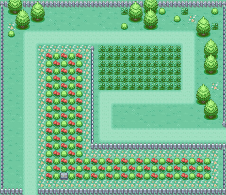 Pokepath Map Route 7